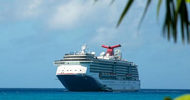 Search Called Off for Missing Passenger From Carnival Cruise Ship